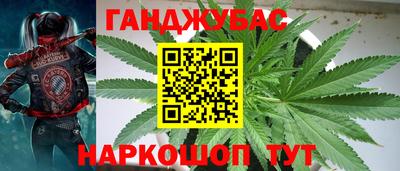 ГАЛЛЮЦИНОГЕННЫЕ ГРИБЫ Тулун