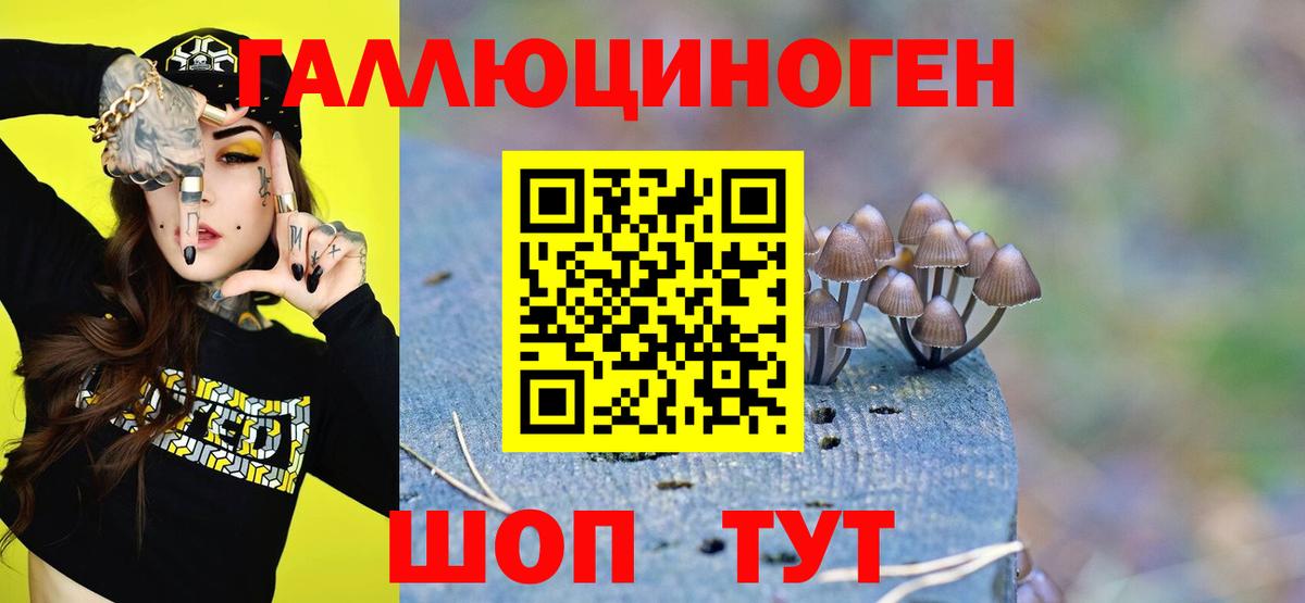 Назарово  Псилоцибиновые грибы MAGIC MUSHROOMS  Вход с VPN 